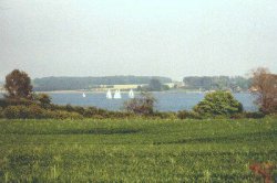 schlei